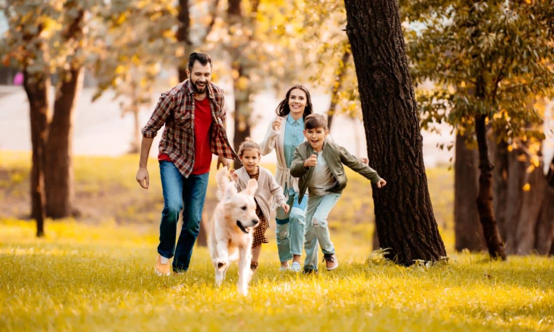 família a correr com cão no parque