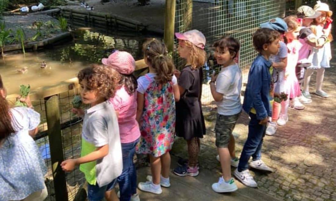 zoo-de-lourosa-ferias-entre-amigos-grupo-criancas
