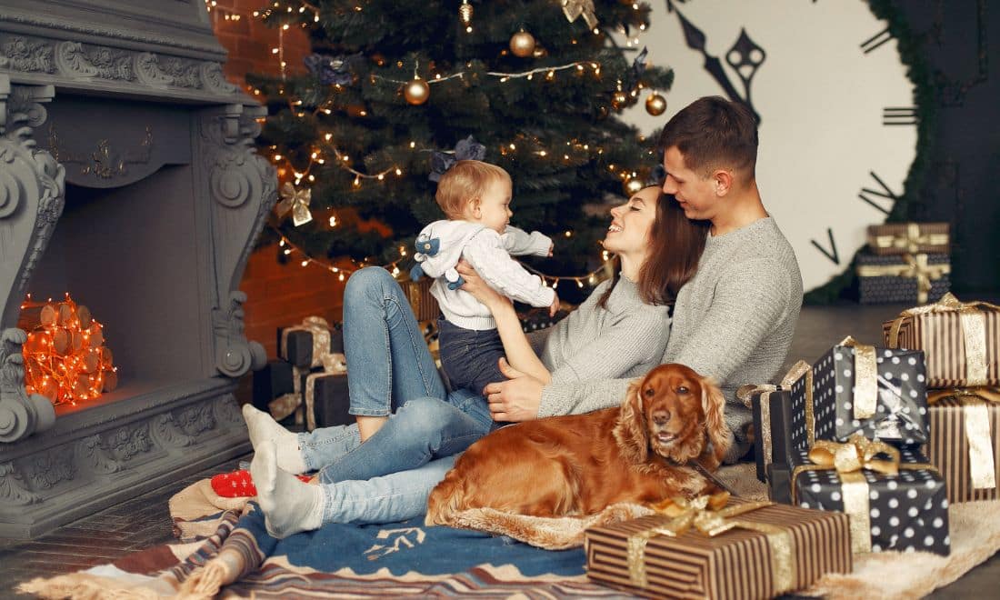família com cão e bebé na sala à lareira com árvore de natal