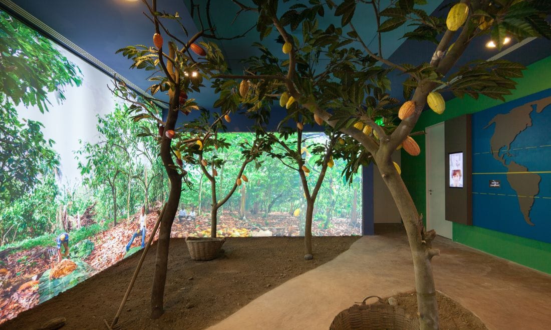 sala do museu fábrica de chocolate com árvores e imagens das origens