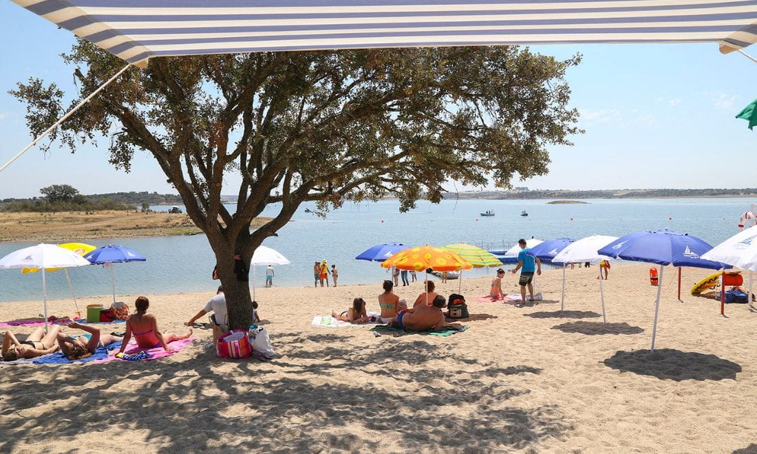 areal com uma árvore e vários guarda-sóis coloridos e o rio ao fundo