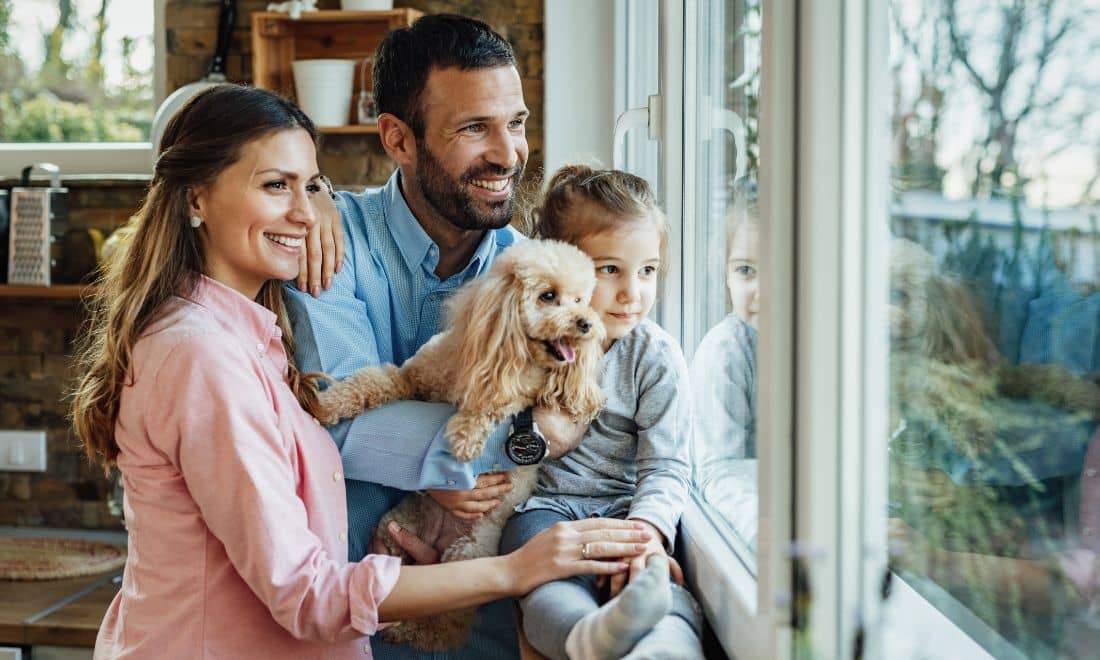 animais de estimação alojamentos pet friendly família crianças cão