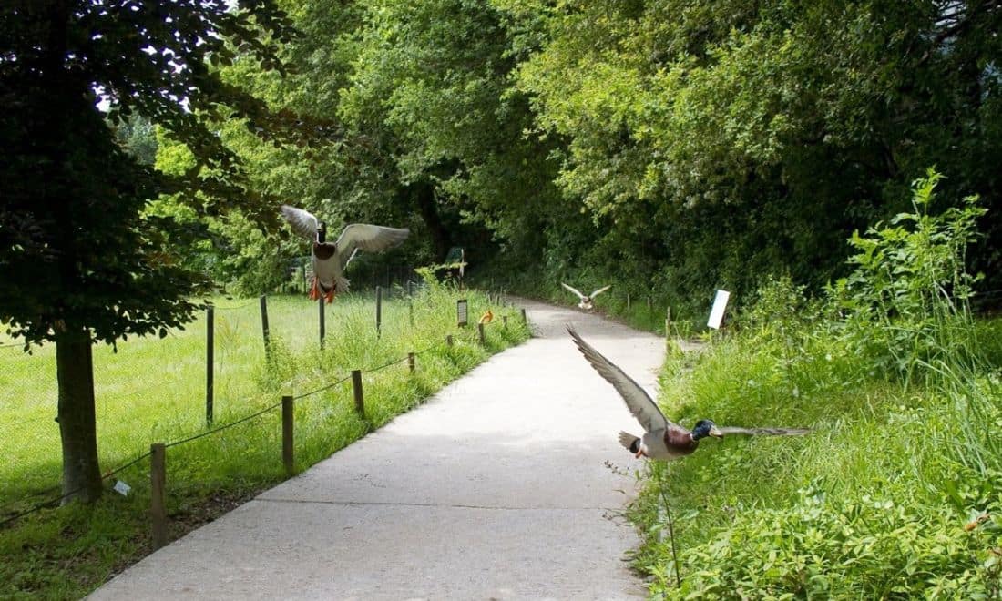 atividades para crianças parque biológico de gaia