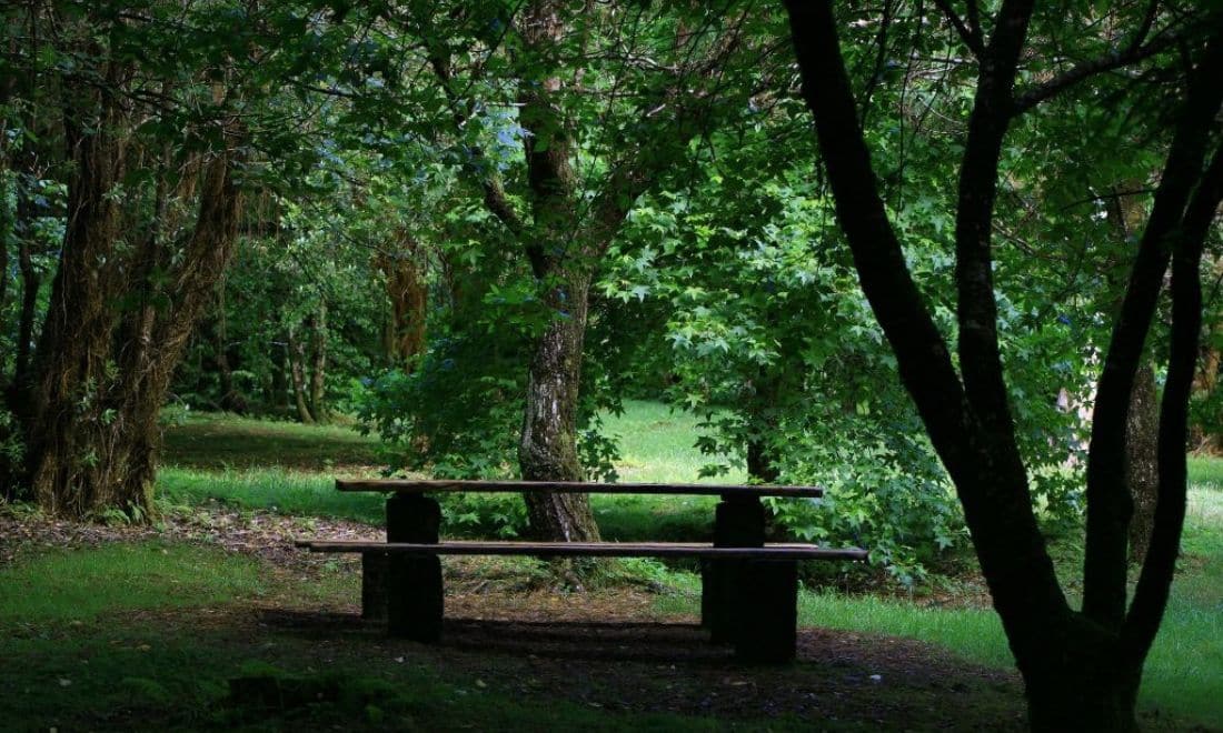 passeios e atividades para crianças açores parque florestal do cabouco velho