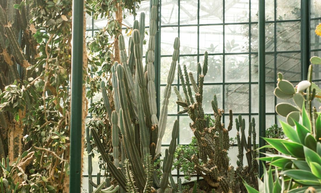 atividades para crianças estufa fria jardins abertos