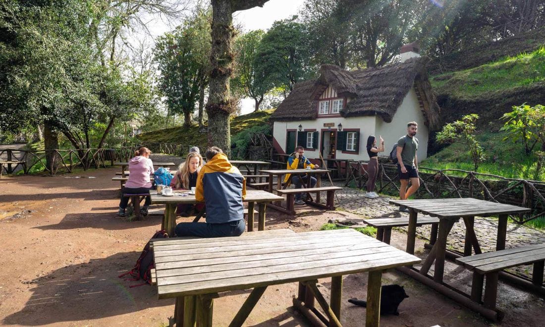 passeios e atividades para crianças madeira parque florestal das queimadas