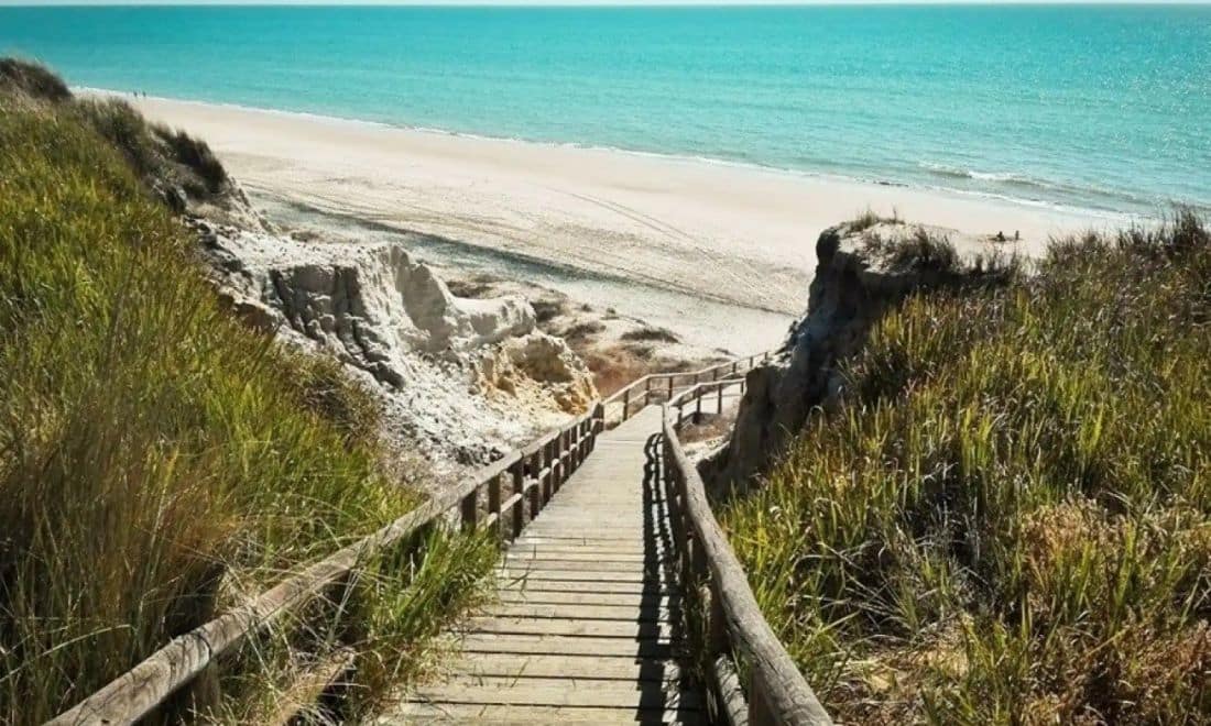 Praia ponte com ervas e ao fundo areia com mar azul e céu