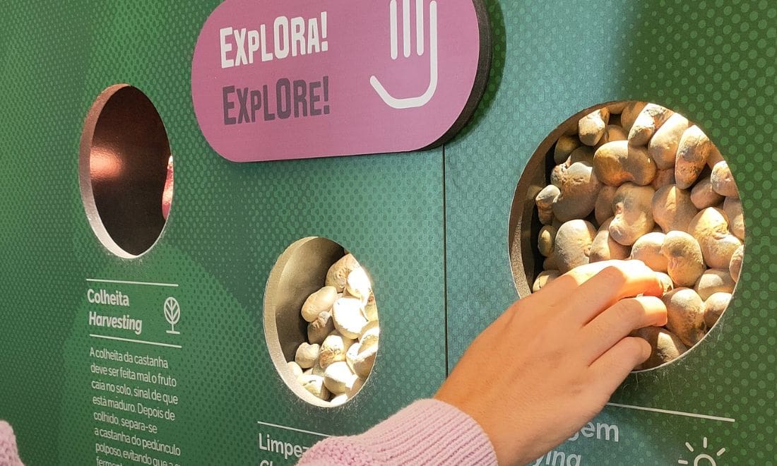 parede interativa com elementos da Guiné que convida os visitantes a explorar utilizando a mão