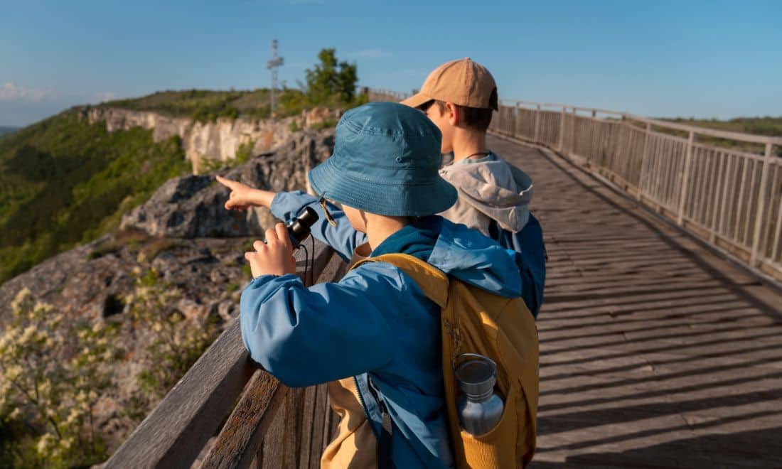 dois meninos a apontar para a vista num miradouro
