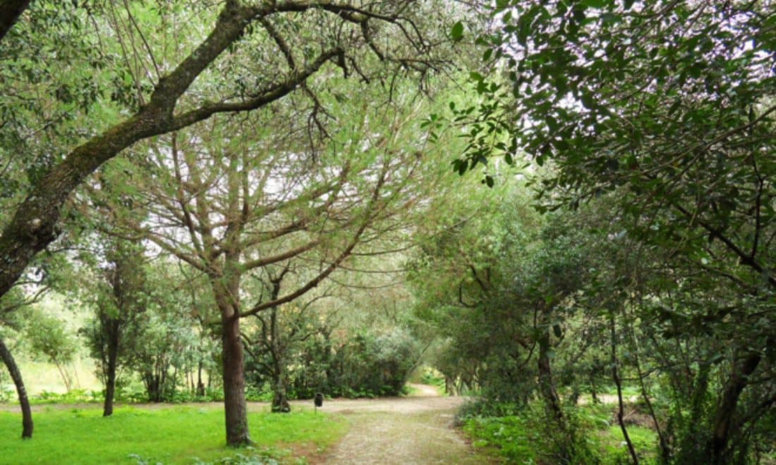 parque botânico do monteiro-mor jardins família fim de semana com as crianças