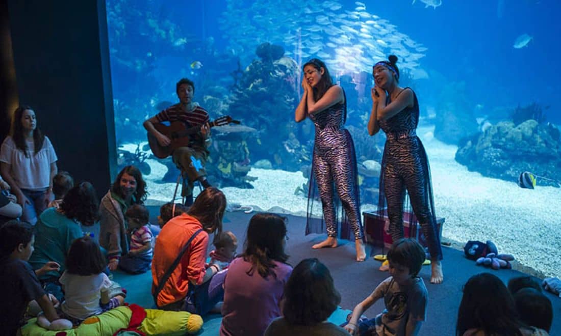 Oceanário de Lisboa Concerto para Bebés em frente ao aquário principal