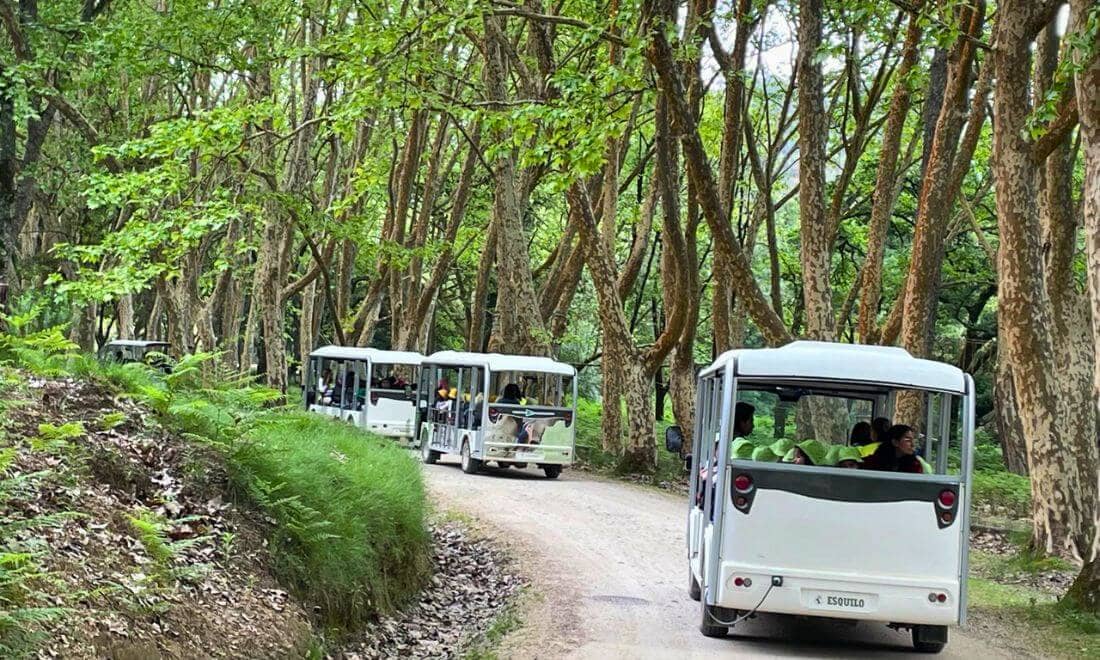 Tapada Nacional de Mafra atividade escolas carro elétrico