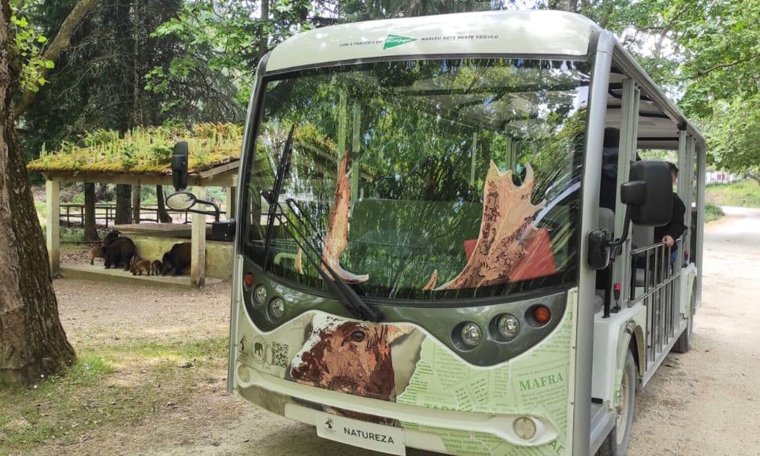 Tapada Nacional de Mafra carro elétrico de frente com desenho de hastes e animais ao fundo