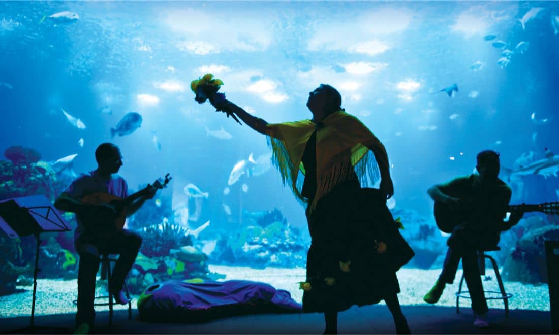 oceanário de lisboa fado 