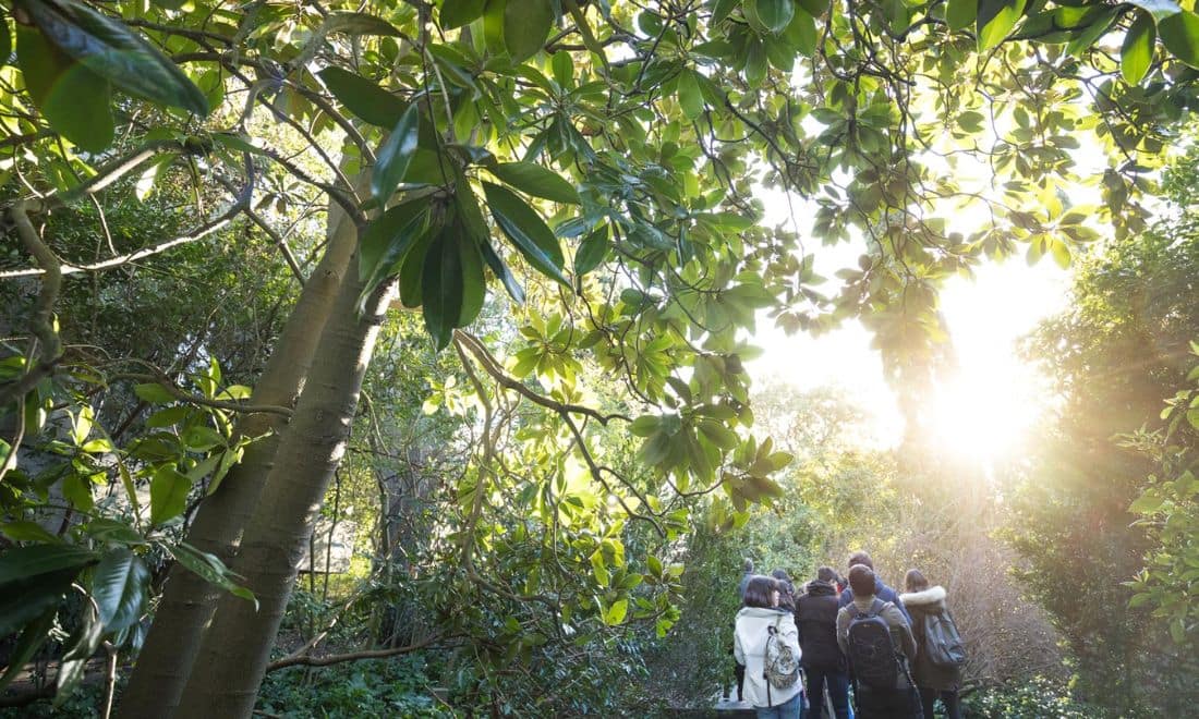 Fundação Calouste Gulbenkian visitas de estudo atividades para escolas Bem-Vindos ao Jardim grupo de alunos no jardim