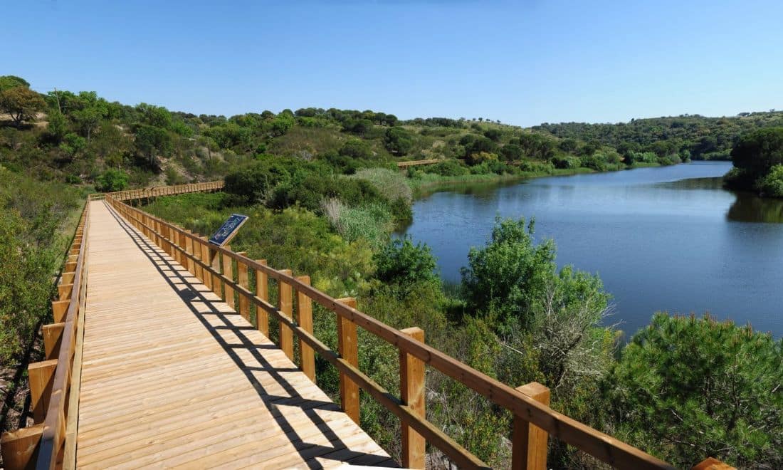 fluviário de mora passadiço visitas de estudo atividades para crianças