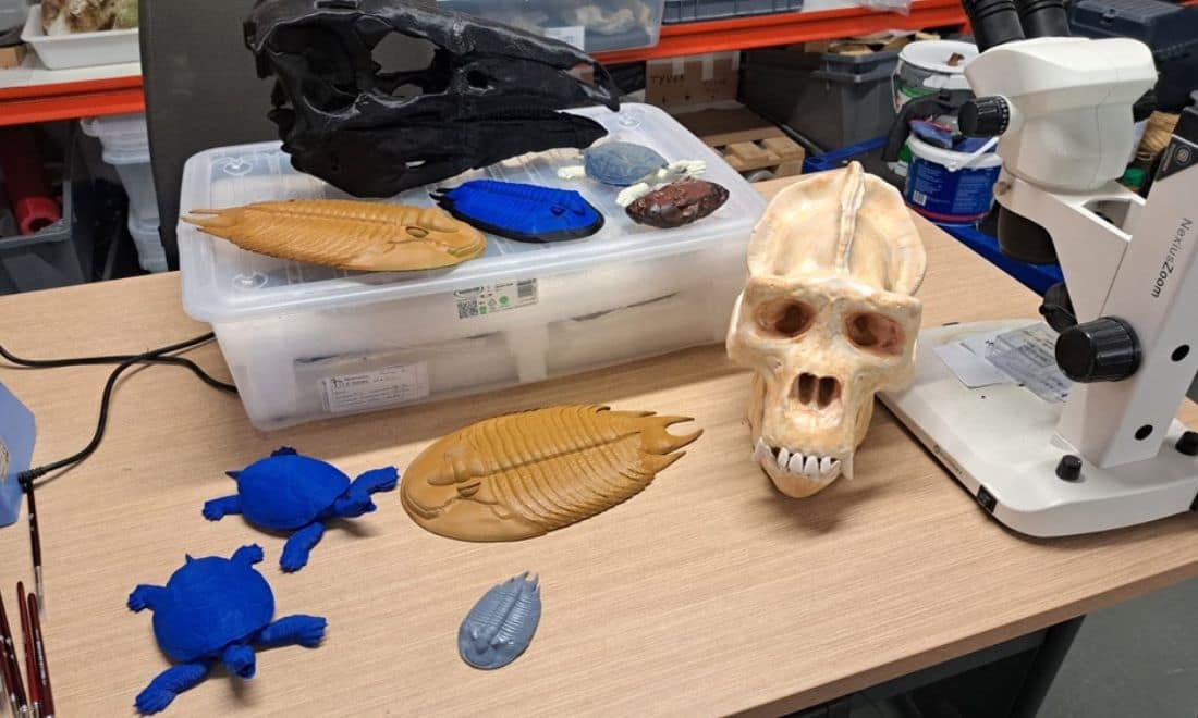 Dino Parque impressão de fósseis e espécies extintas em 3D processo com trilubites e tartarugas