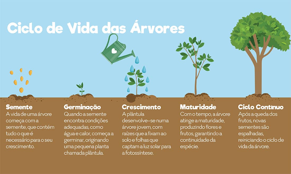 The Navigator Ciclo de Vida das Árvores