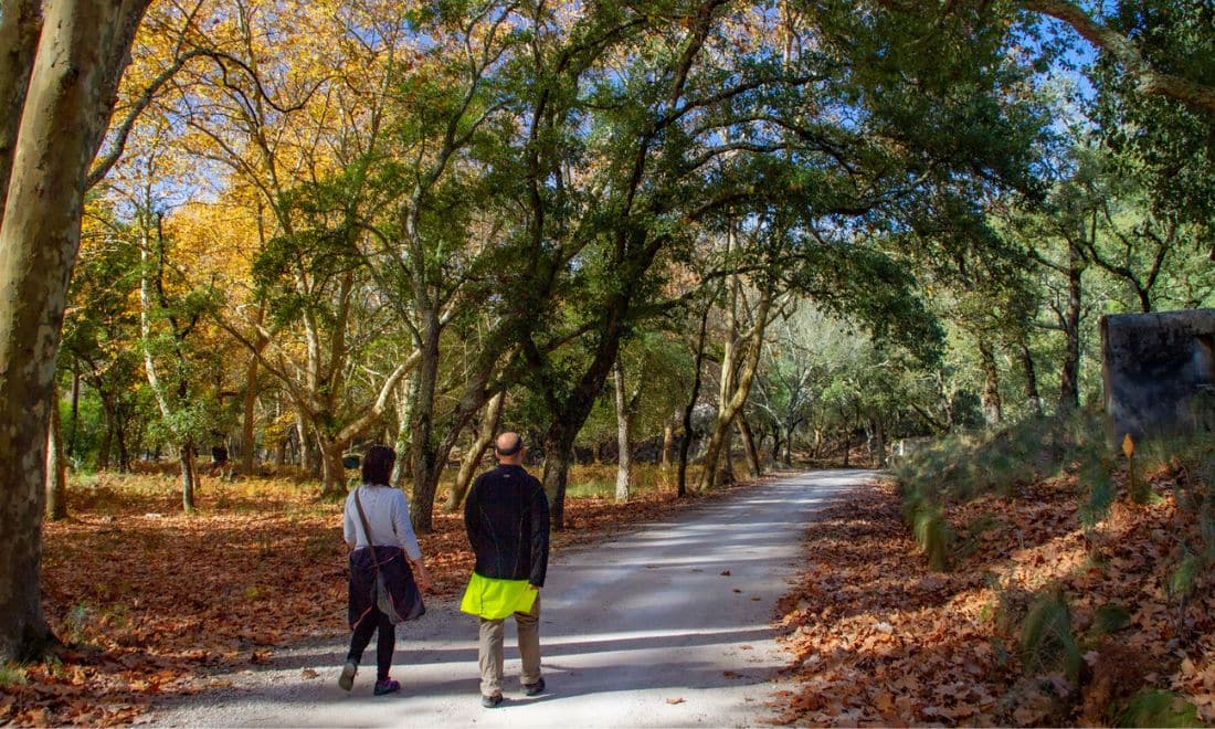 Tapada Nacional de Mafra caminhada mulher e homem a caminhar na floresta