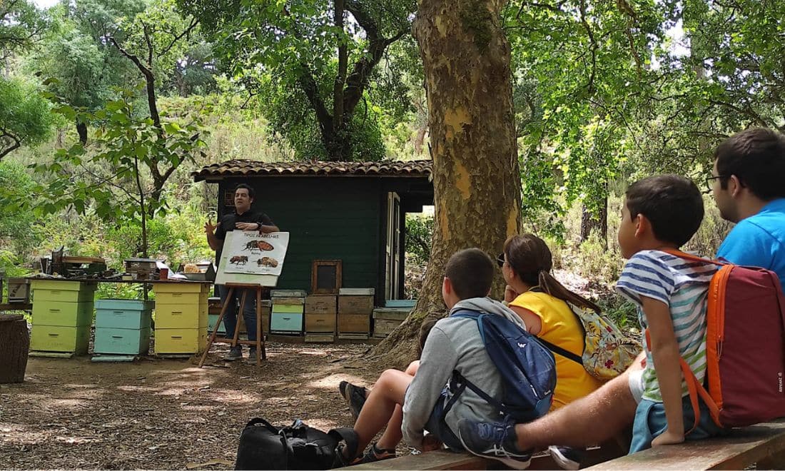 tapada nacional de mafra abelhas outono 2025