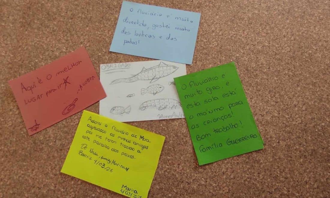 Fluviário de Mora notas com desenhos e textinhos