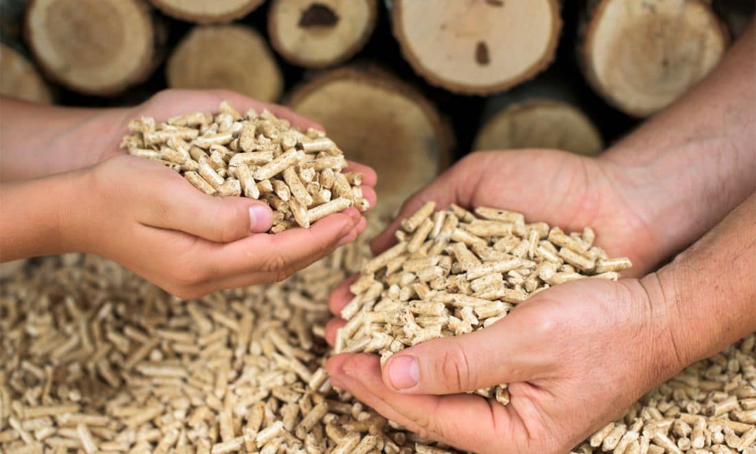 Fontes de energia renováveis biomassa mãos de criança e adulto a pegar biomassa