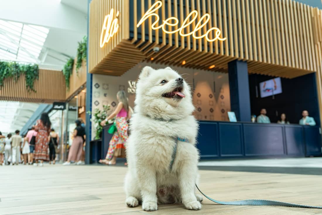 o que fazer em vila do conde porto fashion outlet crianças