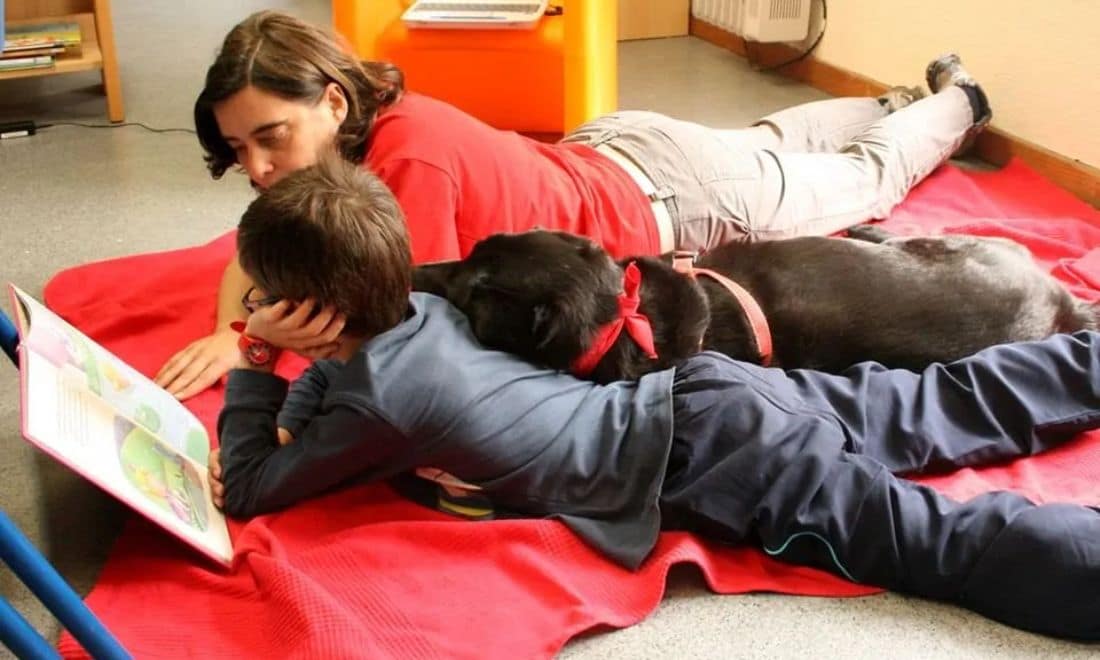 Escola e comunidade Agrupamento de Escolas do Sardoal cães leitura