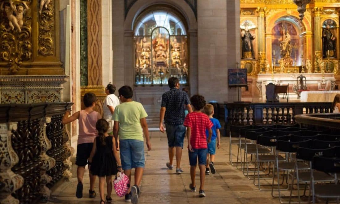 Cultura Santa Casa Atividades para crianças e famílias Descobrir Animais em São Roque