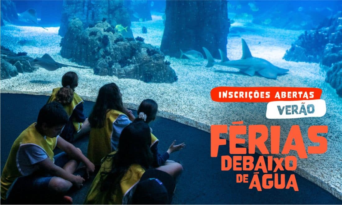 Oceanário campo de férias para crianças grupo em frente ao aquário central letras Férias debaixo de Água inscrições abertas Verão 2026