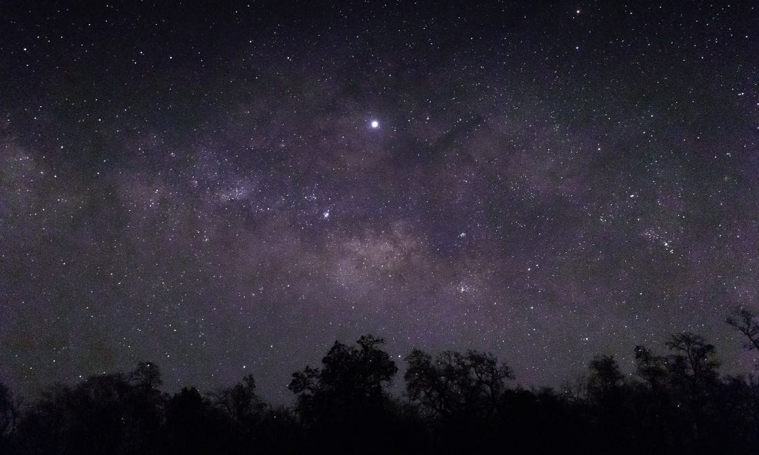 Estrelas céu estrelado observação astronomia com vultos de árvores