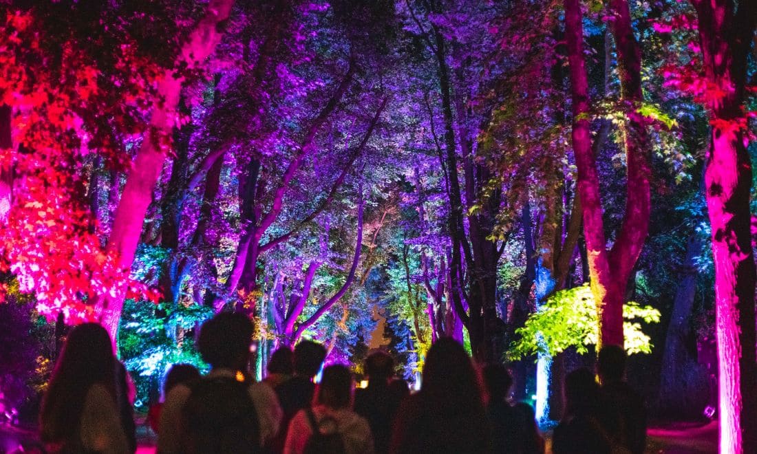 Fundação de Serralves árvores com luzes coloridas e grupo de pessoas a caminhar no centro Serralves em Luz