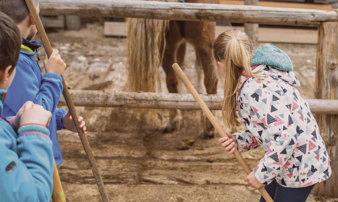 Pony Club do Porto menina e meninos a limpar estábulo dos cavalos vassouras outono inverno