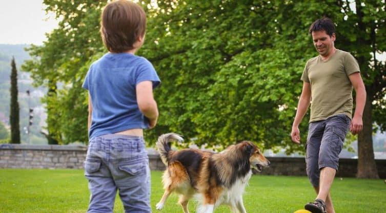 geral_pai_filho_cão_bola