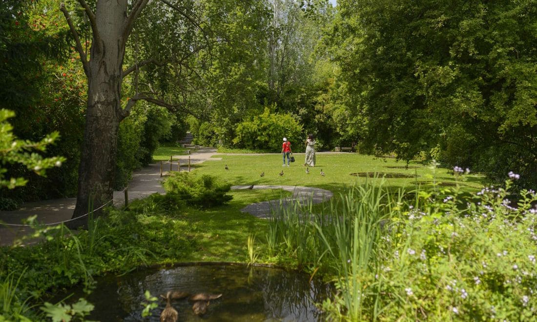 Fundação Calouste Gulbenkian visitas de estudo escolas Biodiversidade e ciência cidadã Jardim