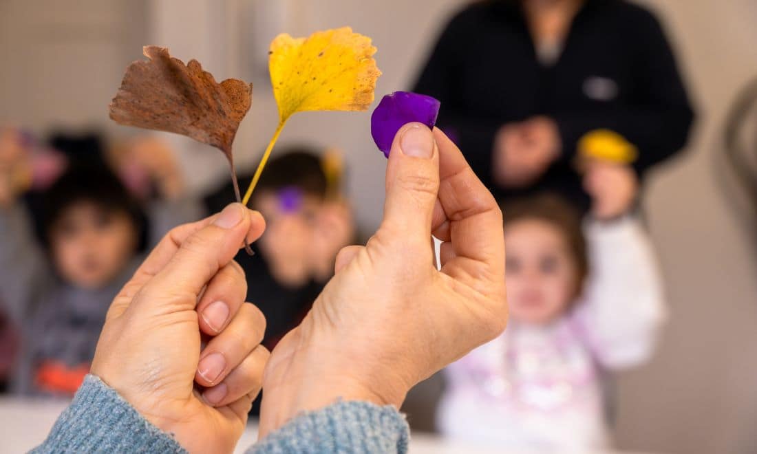 Fundação de Serralves atividades para famílias oficina mãos a pegar em flores de cores diferentes