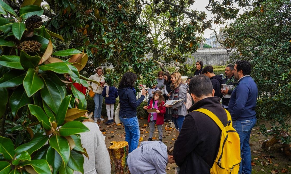 Museu de Lisboa atividades para crianças atividade O meu primeiro herbário famílias no meio da natureza com monitora ©EGEAC José Frade